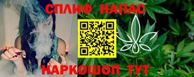 гашик Тулун