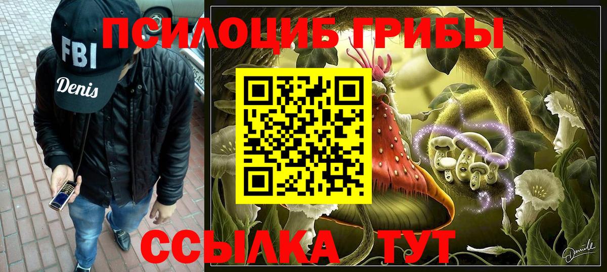 Галлюциногенные грибы ЛСД Новый Уренгой